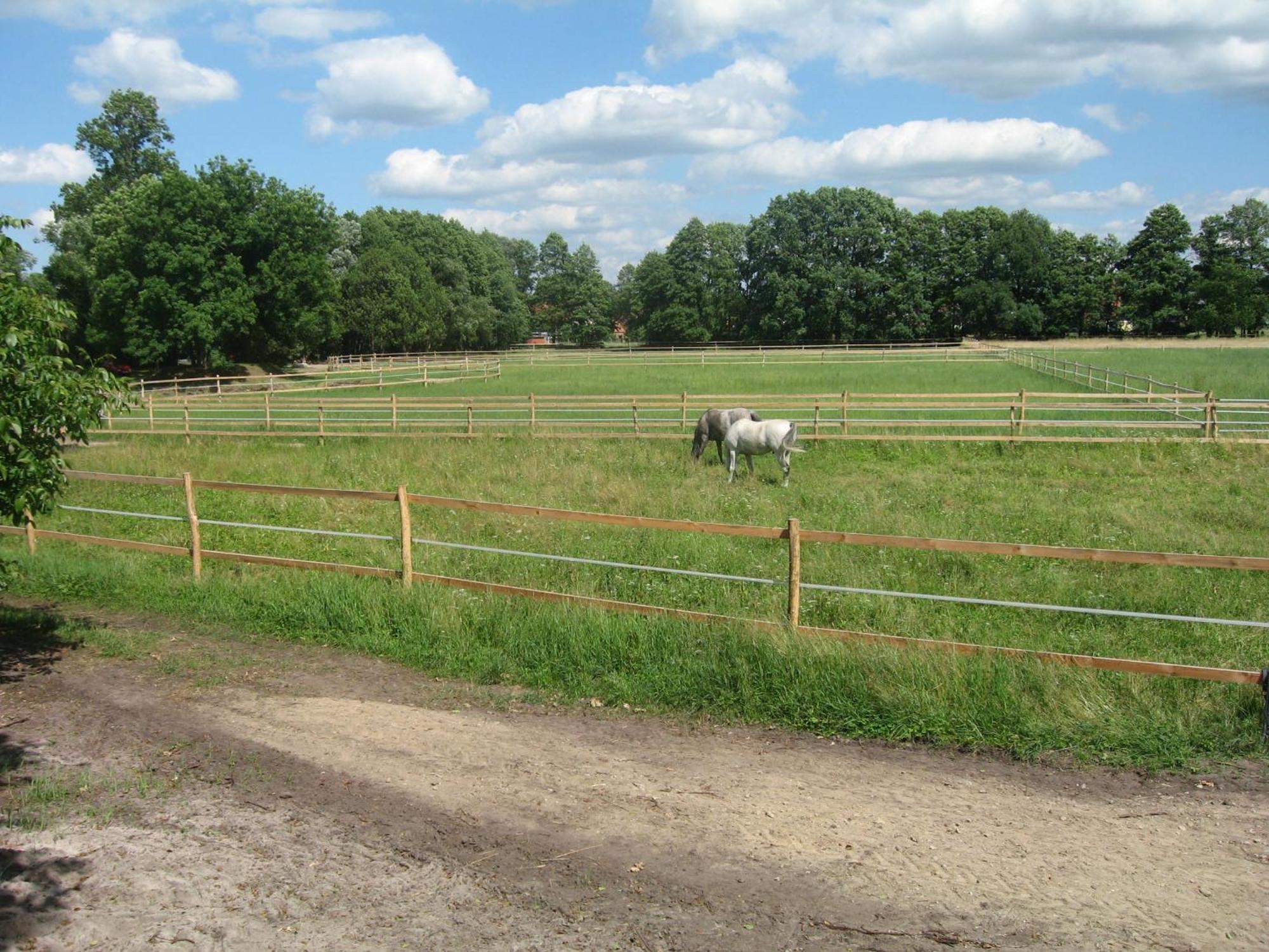 Stilvolle Unterkunft Auf Romantischem Pferdehof Rehagen Luaran gambar